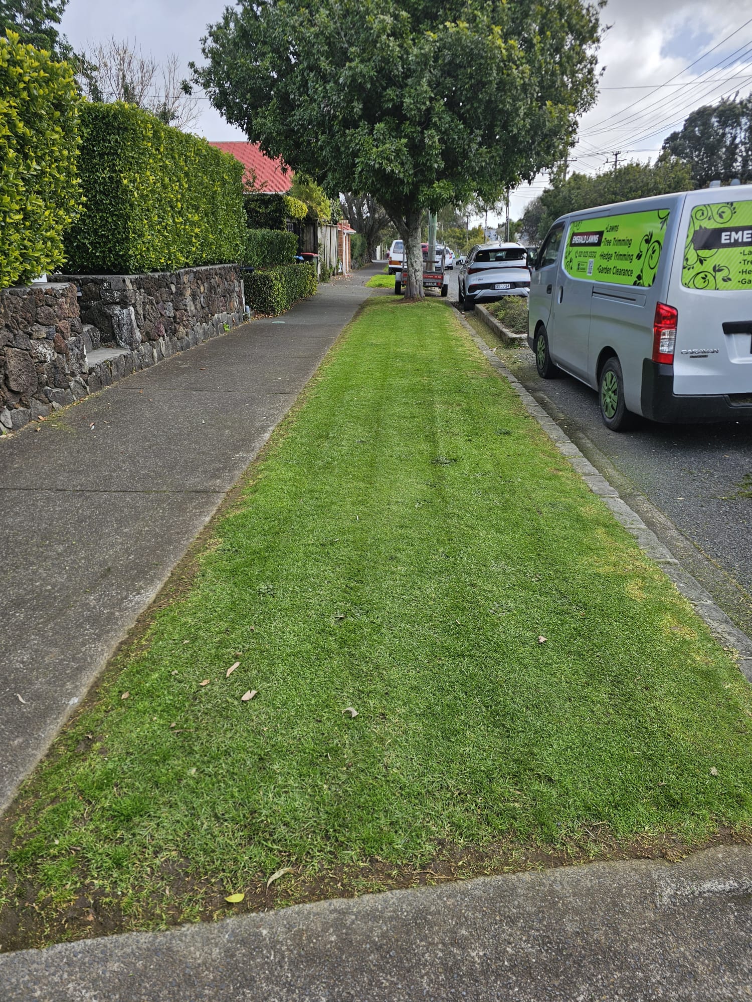 Freshly edged Auckland street berm
