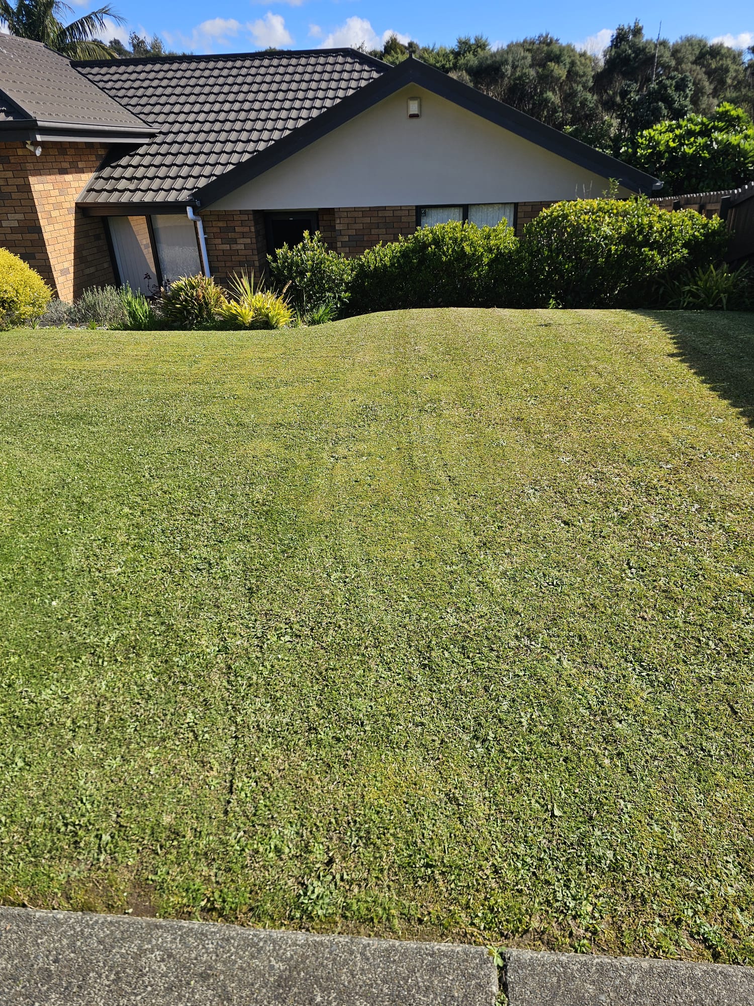 Striped sloping front lawn